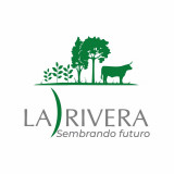 GRUPO EMPRESARIAL LA RIVERA S.A.